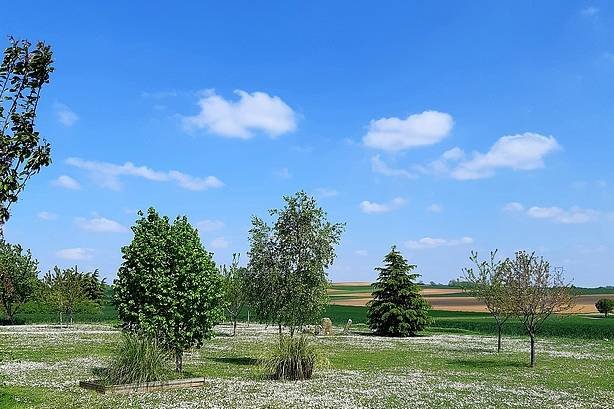 Domaine de La Pépinière