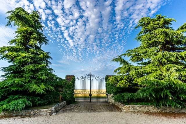 Domaine Saint-Pierre