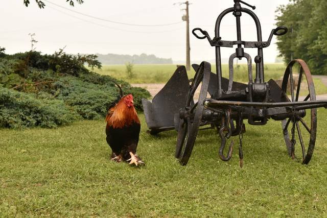 Ferme de la Petite Loge