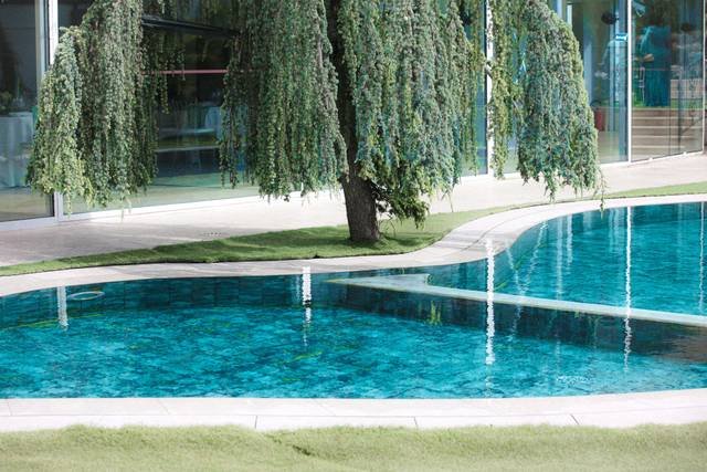 Le Manoir des Cygnes